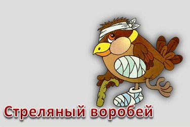 Картинка стреляный воробей