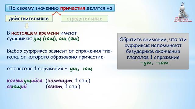 Действительные и страдательные причастия 7 класс конспект. Причастия делятся на.